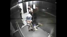 Videos de sexo no elevador com um casal bem safado